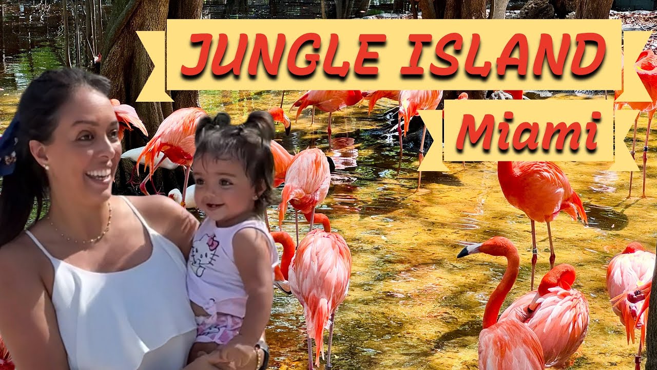 JUNGLE ISLAND - MIAMI