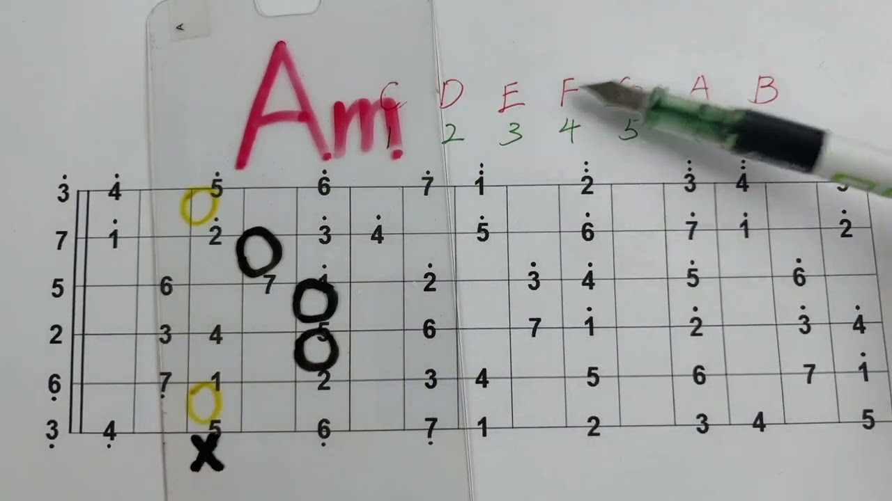 学吉他一定要搞懂的乐理知识，懂了原理思路马上就清晰了！