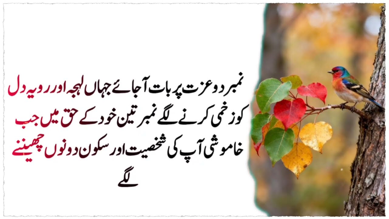 say these three things to a nice woman .- Urdu Wisdom