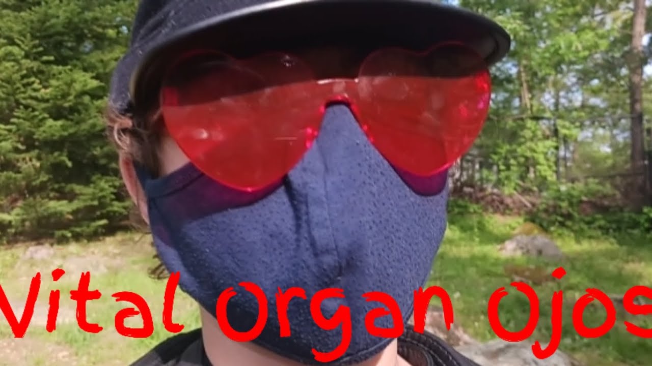 Vital Organ Ojos | Haert Eyes parody