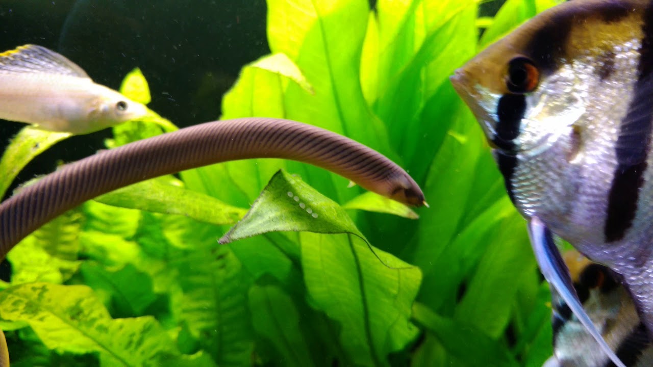 Ofensywy antyglonowej ciąg dalszy oraz pożegnanie ze starym rejestratorem video.