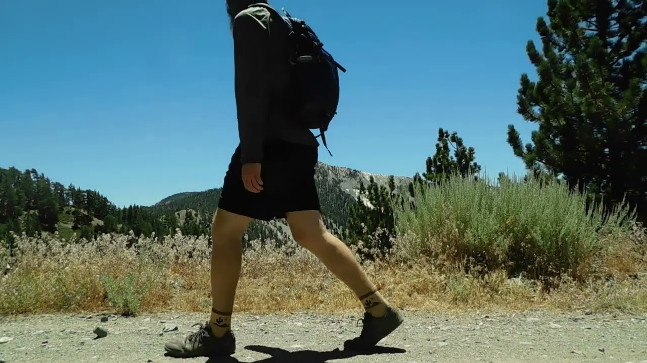 The Acorn Trail and Blue Ridge | Hiking Around Wrightwood