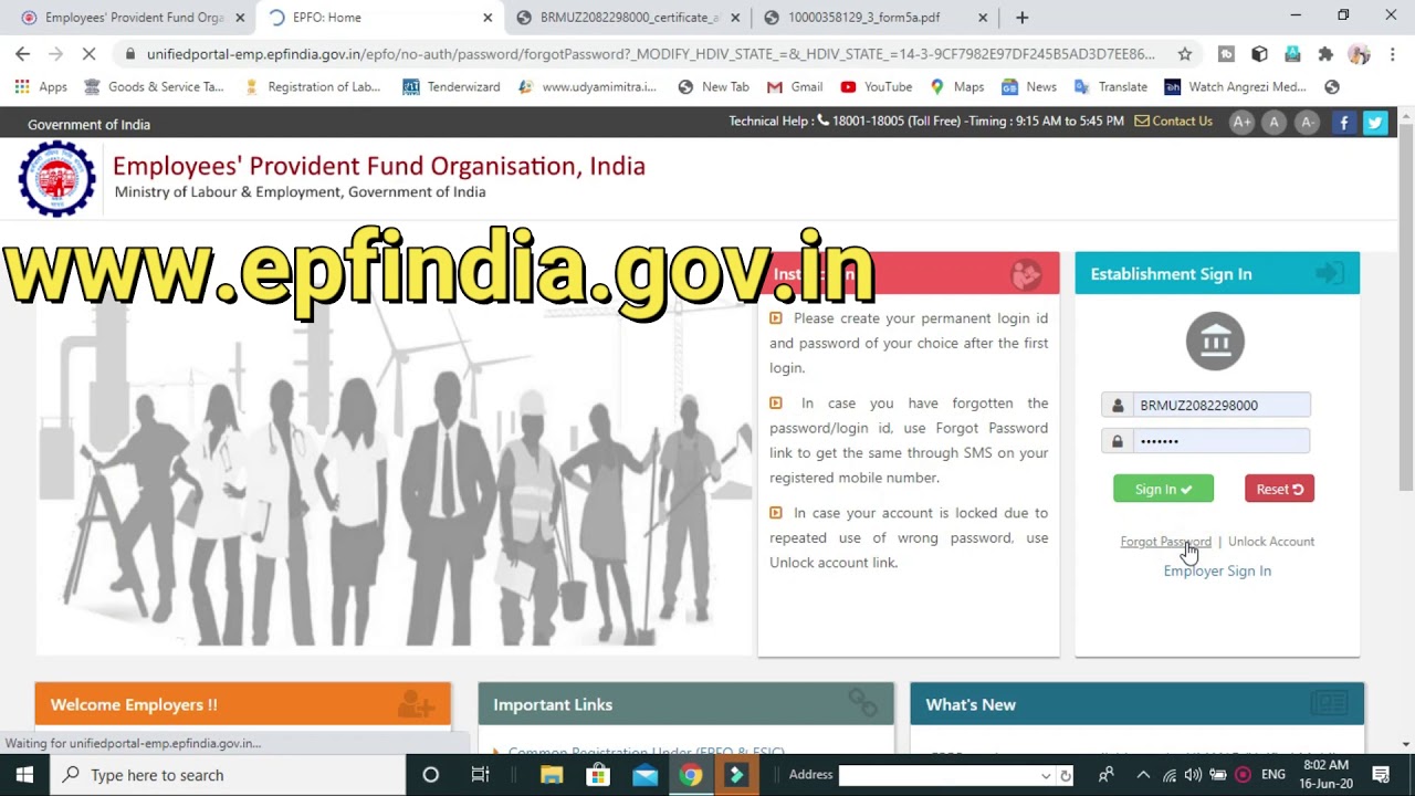 Download PF certificate /Forgot epfo password| epf code allotment letter