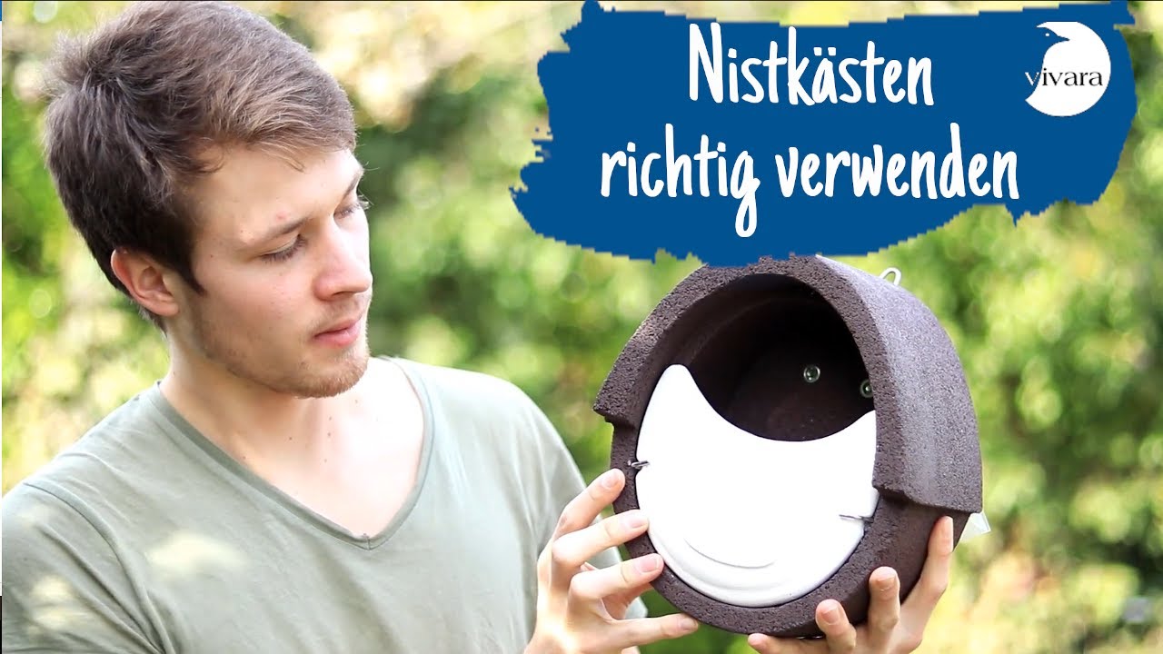 Nistkästen - Was gibt es bei der Verwendung zu beachten?