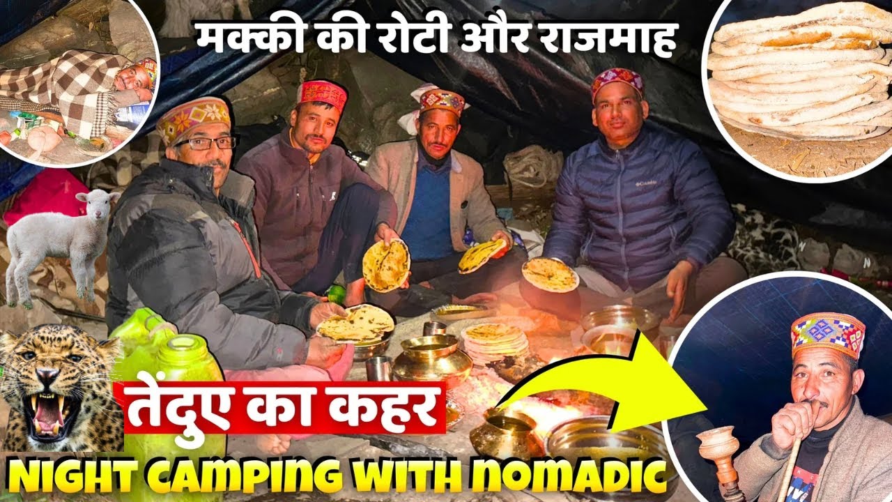 Winter Night Camping with Nomadic 😍कालू भेड़पालक ने डेरे में मक्की की रोटियाँ और पहाड़ी राजमाह बनाए