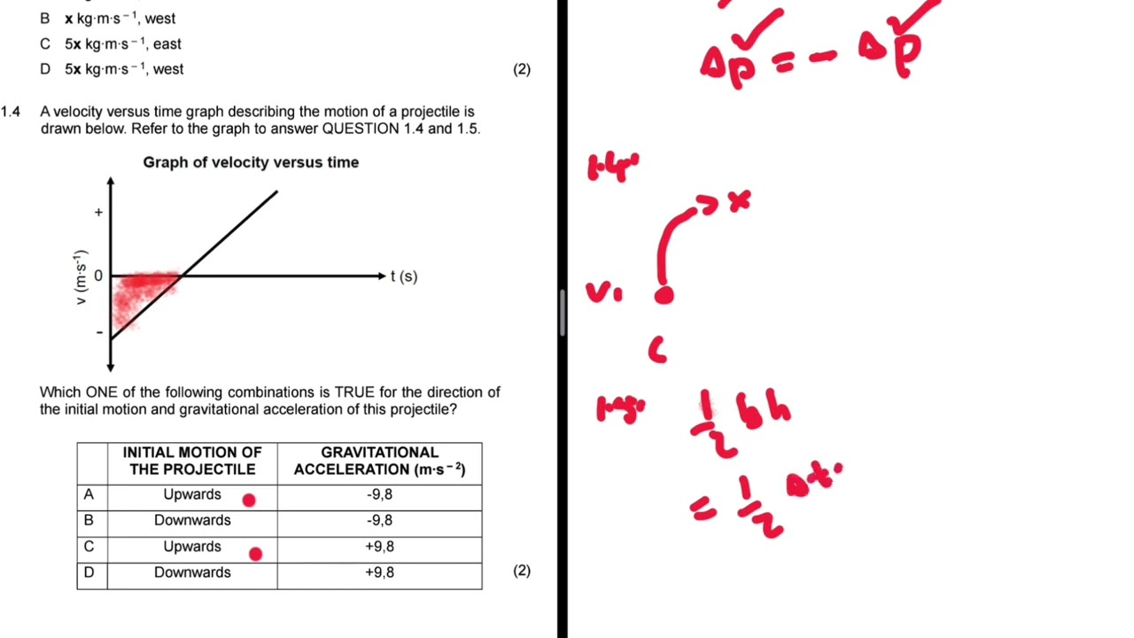 March 2025 Term 1 Test Grade 12 Physical Sciences Full Memo