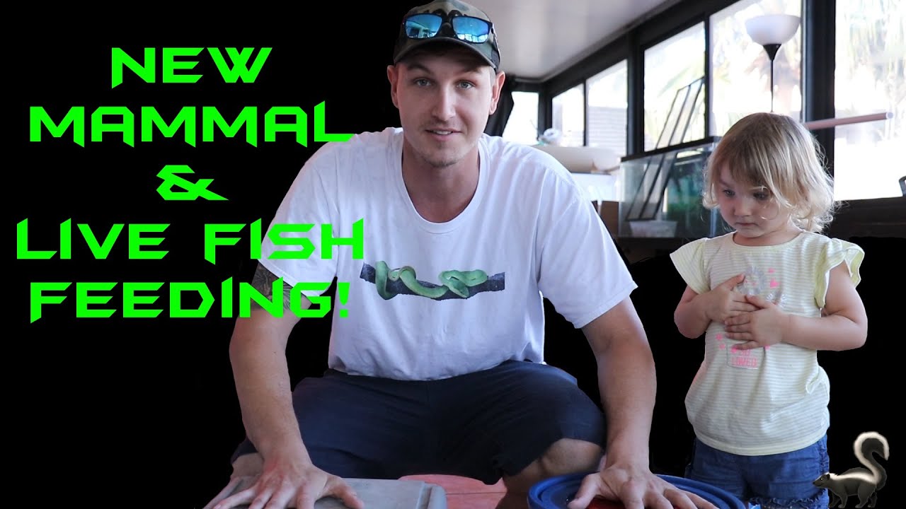 I DON'T KNOW WHICH SMELL IS WORSE! | WILL NACE