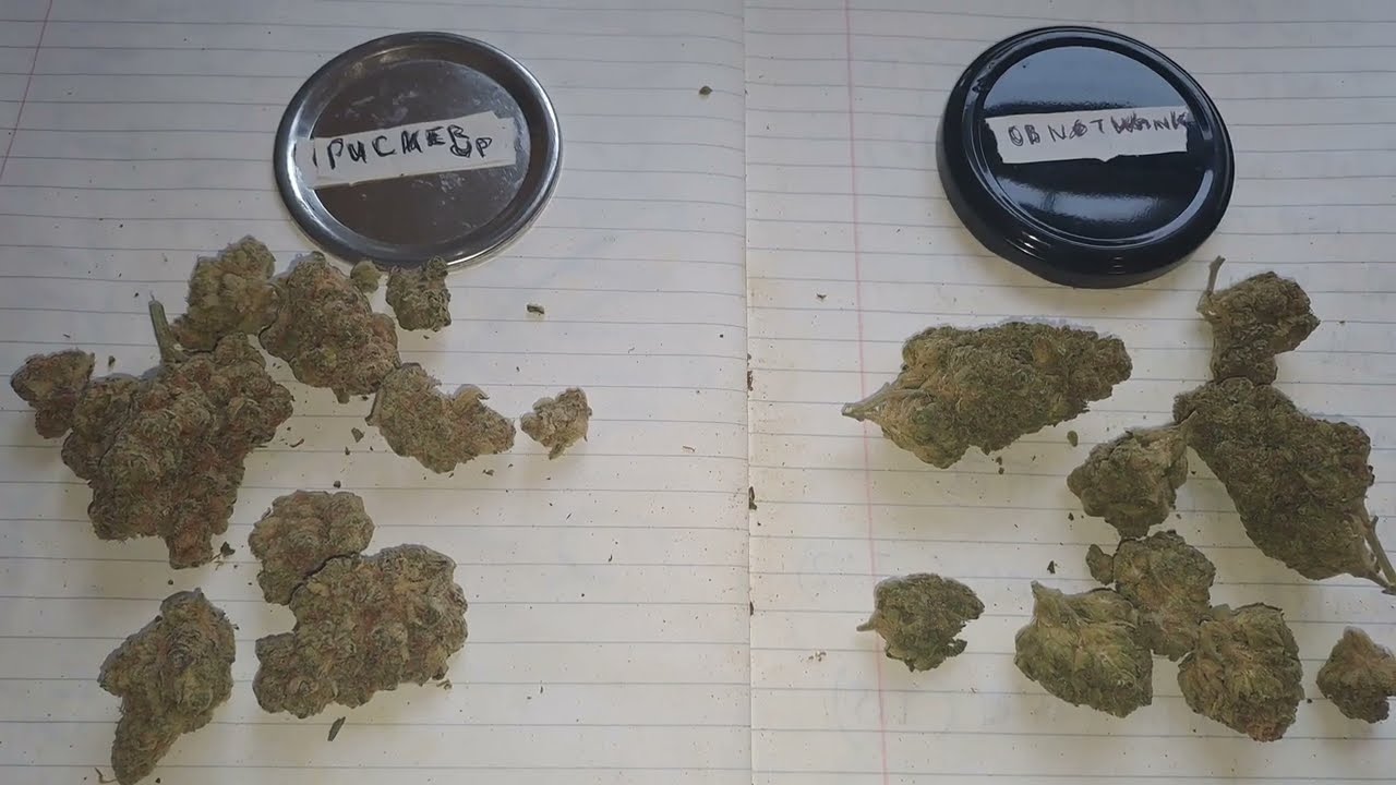 Pucker up/Original Blitz Close-ups pre Hydro Stone (UK Medical Cannabis)