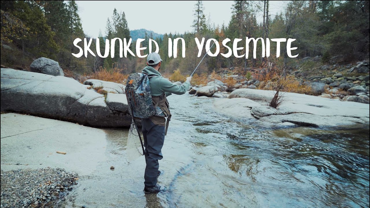 Getting Skunked In Yosemite [Fly Fishing]