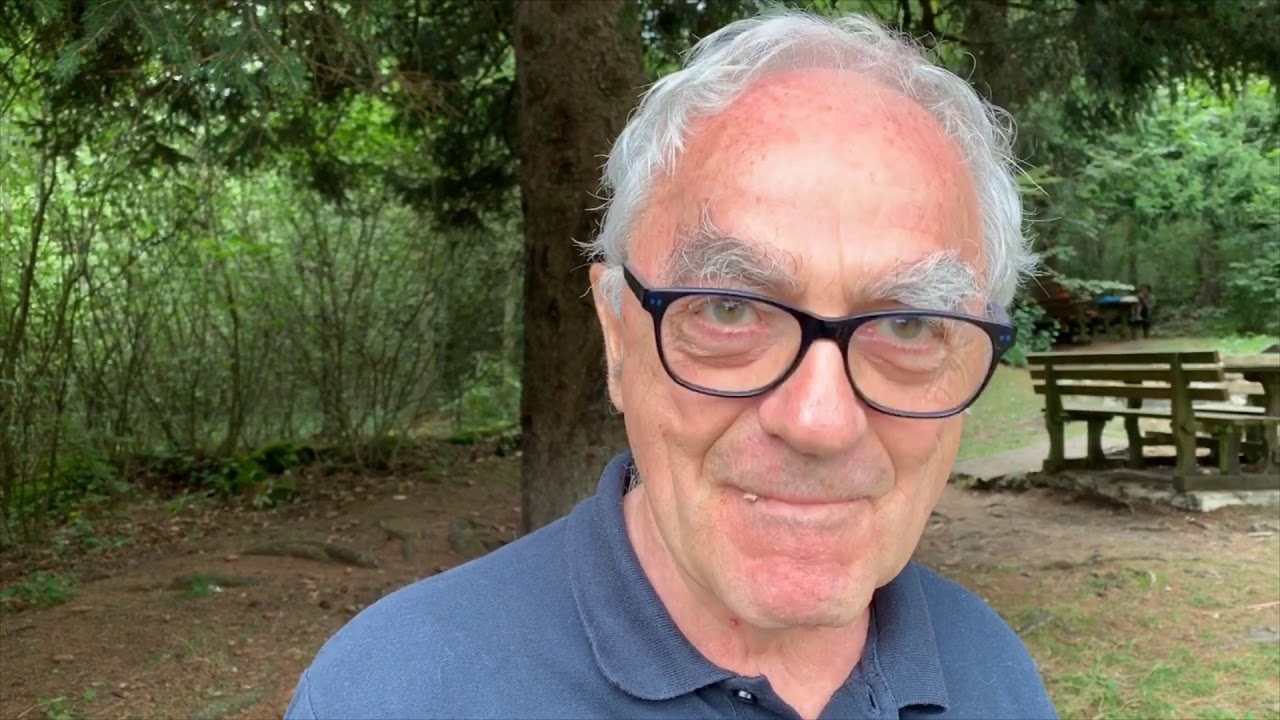 I Funghi in Lessinia? Delizia e Bellezza (ma in sicurezza!) | Ti Porto Io