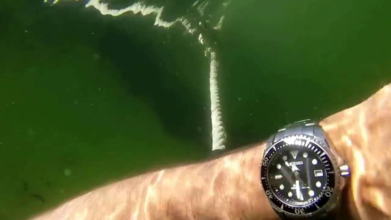 Seiko Shogun SBDC029 water test