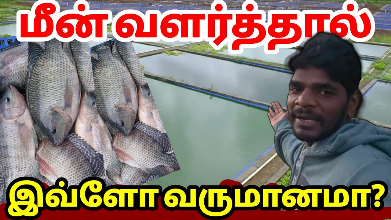 🔴அதிக லாபம் தரும் நன்னீர் மீன் வளர்ப்பு 