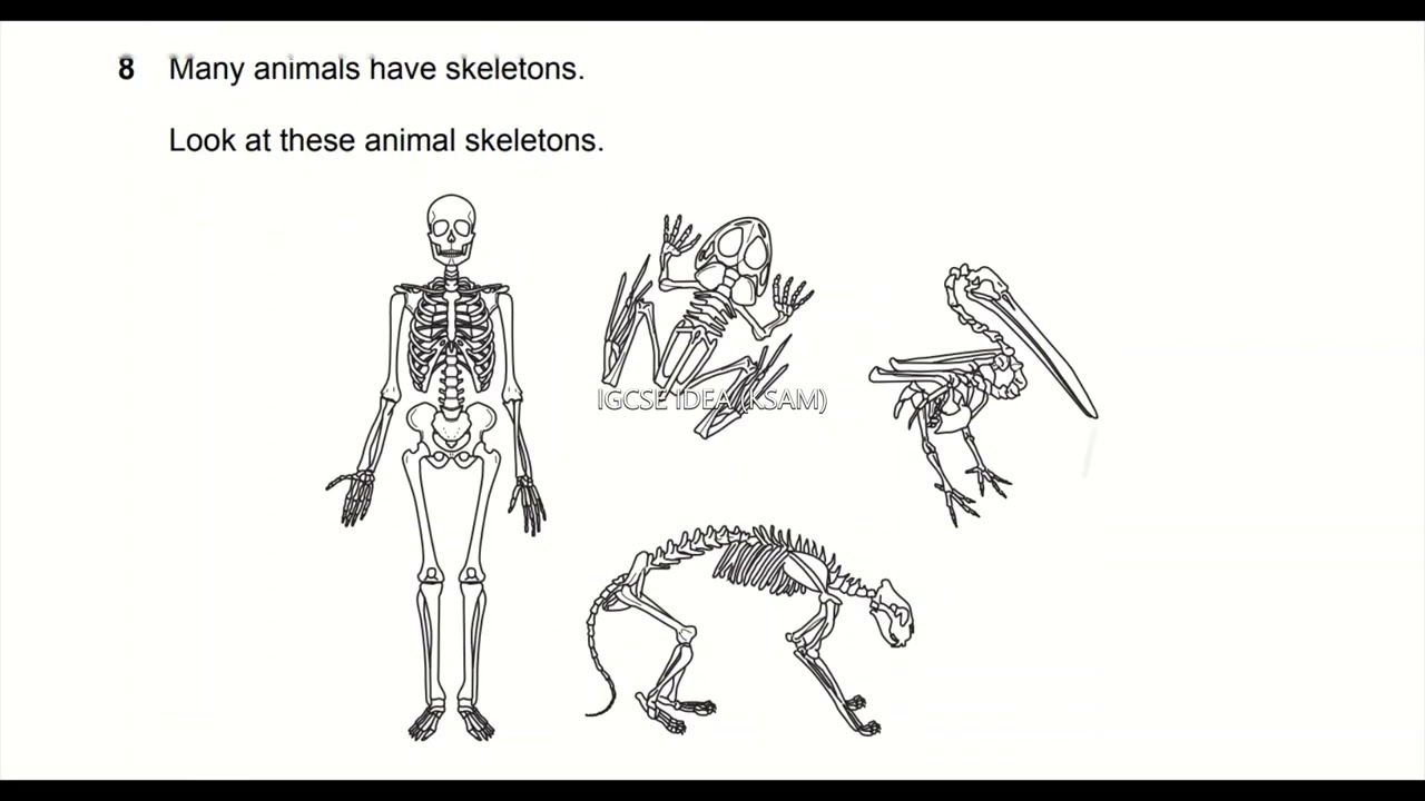Cambridge primary checkpoint Science 0846/01 April 2016 paper 1