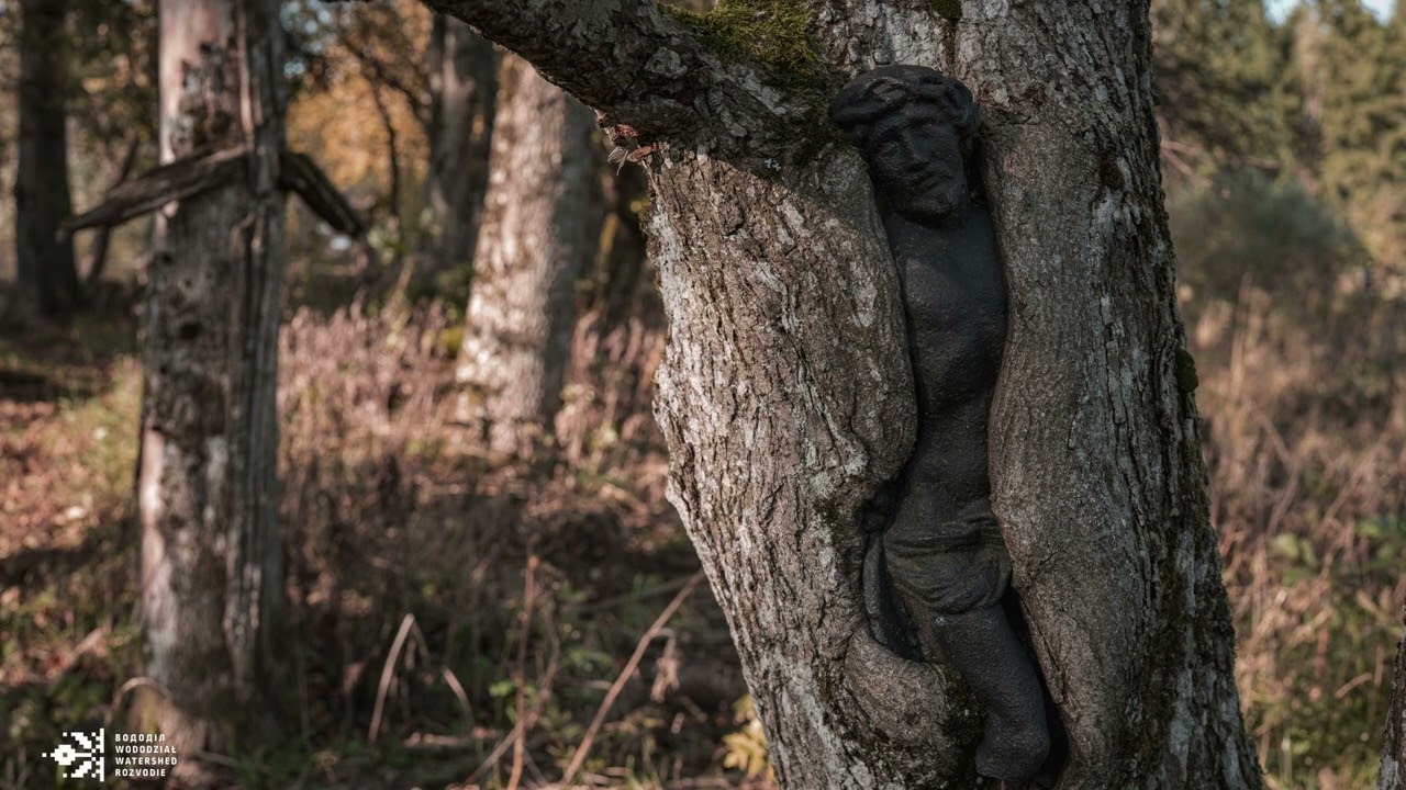 Fragment rozmowy z kobietą urodzoną w Woli Michowa (PL)
