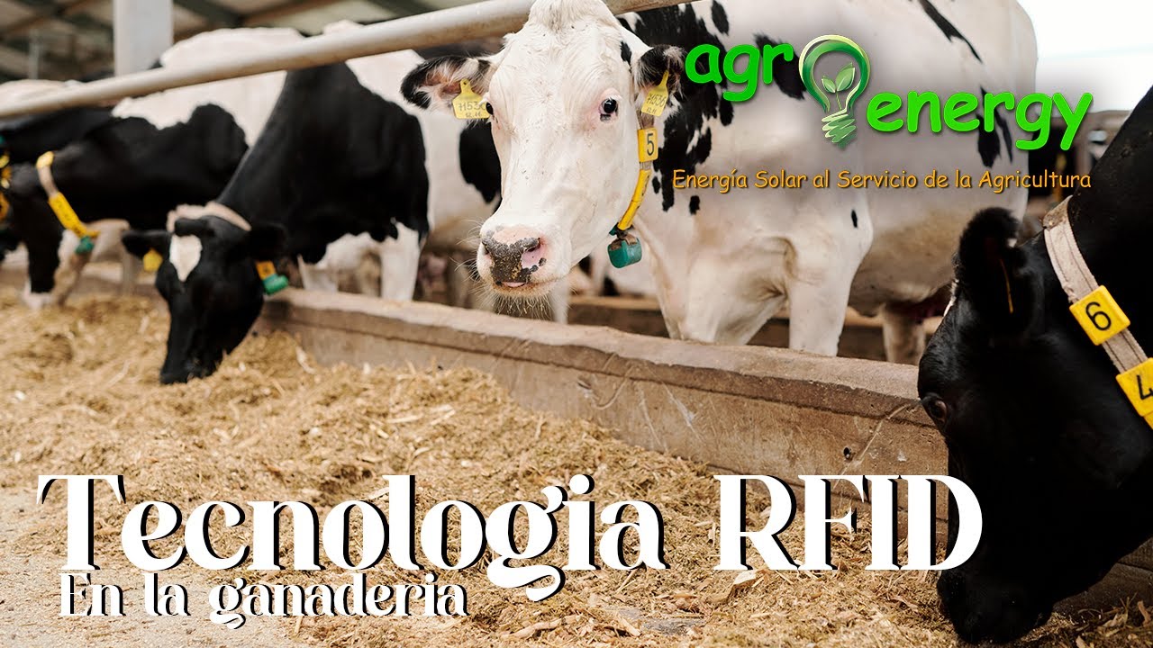 Tecnología RFID en la ganadería