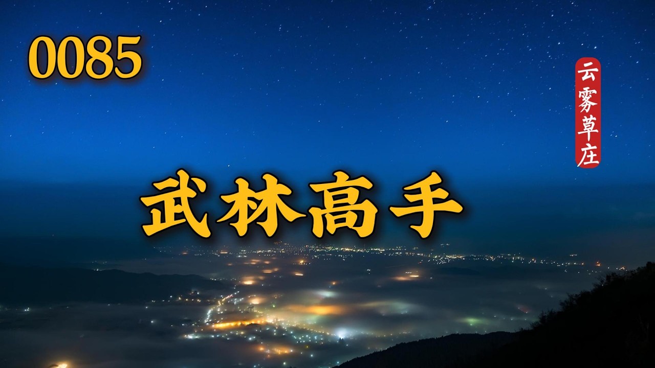 0085  武林高手