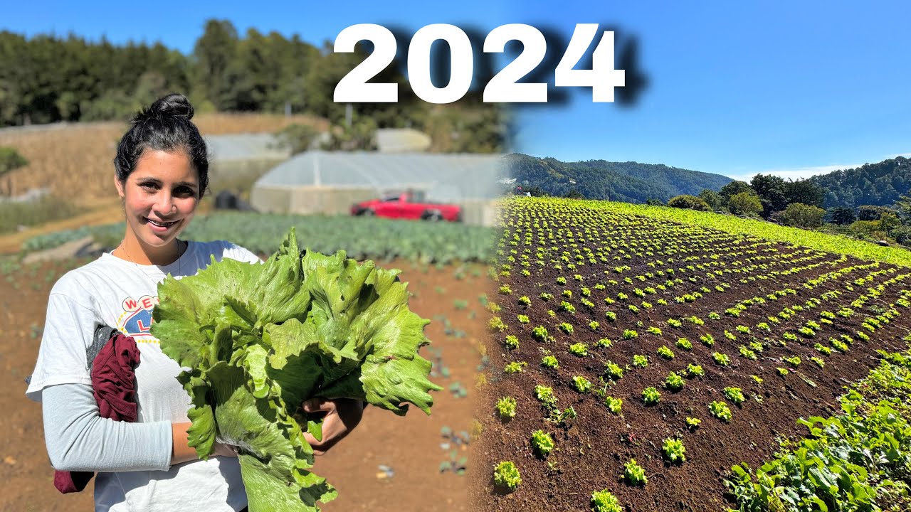 LOS AGRICULTORES DE EL SALVADOR |Dicen que El gobierno les prometió invernaderos a todos.