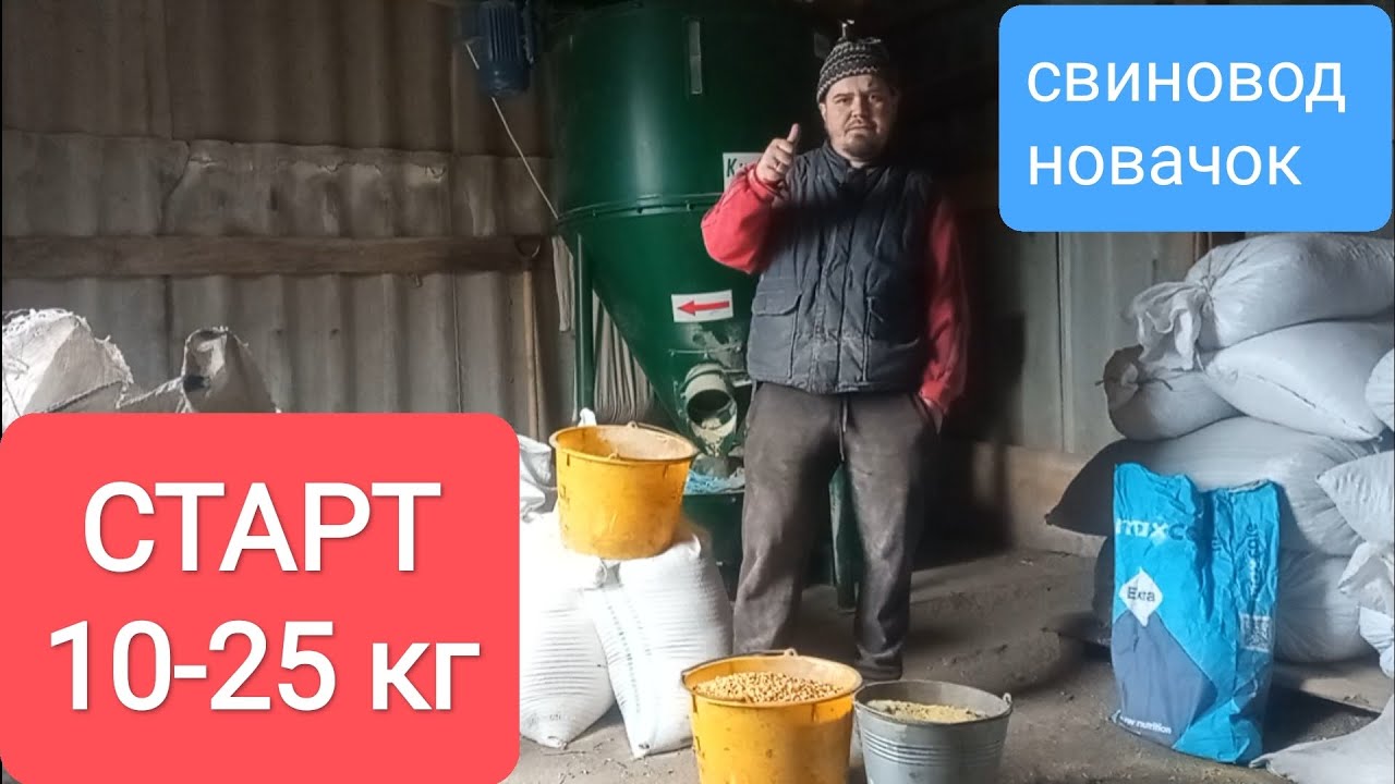 СТАРТ для поросят, комбікорм. 10-25КГ. Відгодівля свиней. Свиноводство.