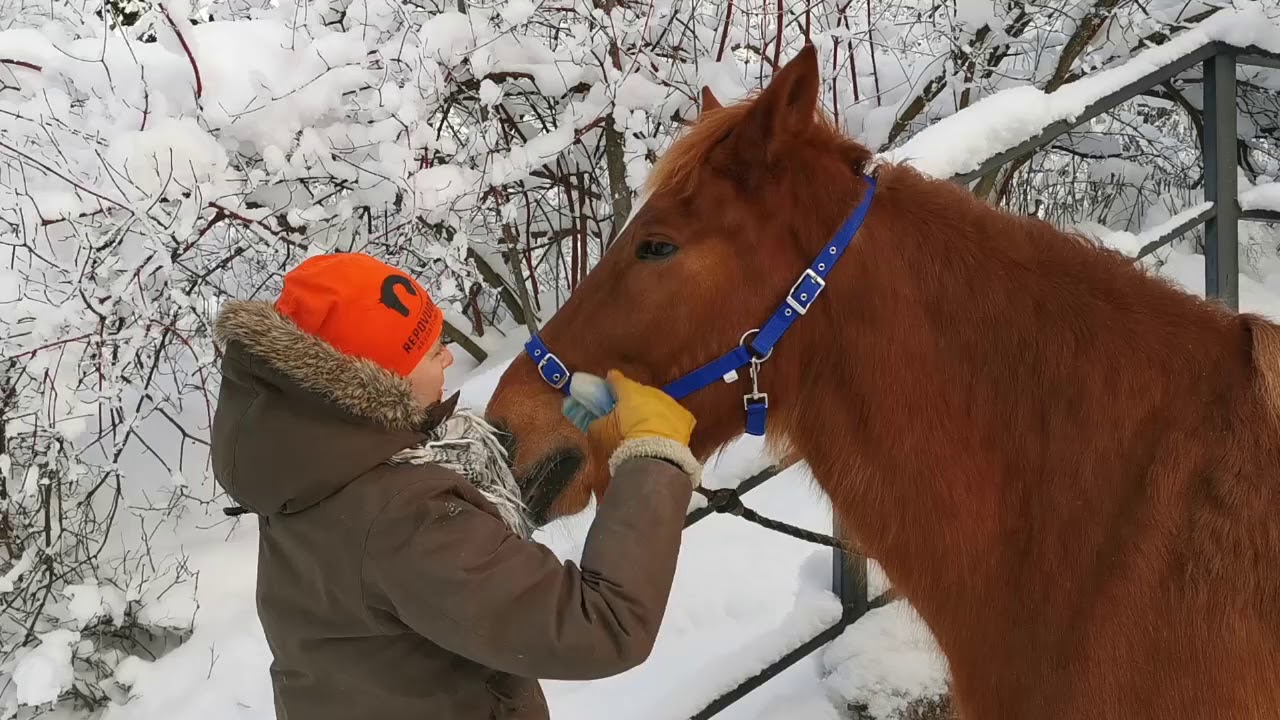 Ammattitarina: Mari Lyytinen