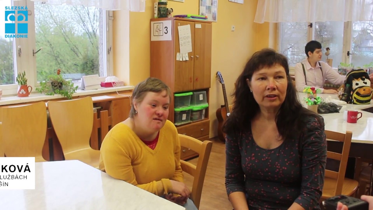 MOZAIKA denní stacionáře SD