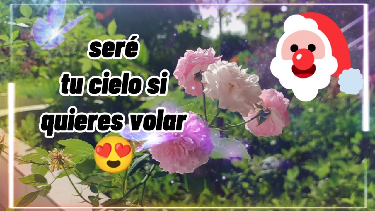 💕Mi amor Seré tu cielo si quieres volar 💌 Frases de amor