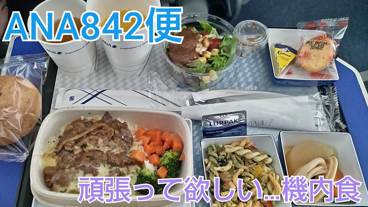 ANA842便　シンガポール→羽田　NH842　プレミアムエコノミー　2024年10月29日