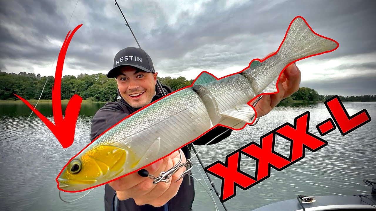 XXX-L GUMMIFISCH soll RIESENHECHT fangen! (es knallt!!)