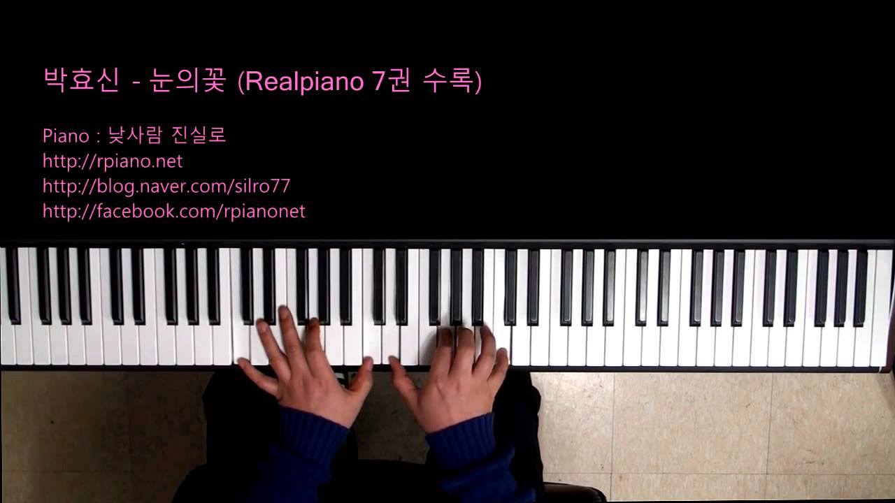 박효신 Park Hyo Shin - 눈의 꽃 Snow Flower (Piano Cover)