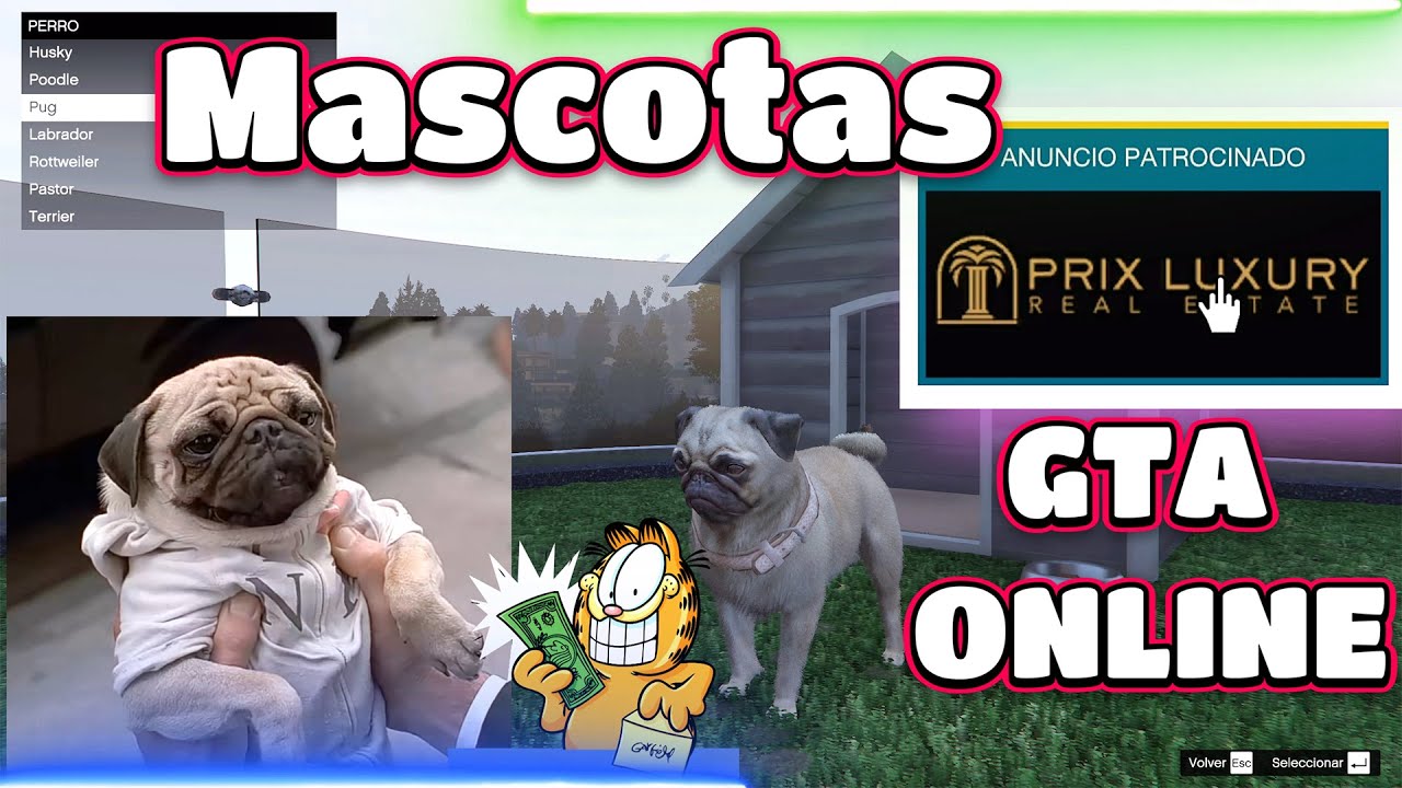 Como comprar Mascotas en GTA Online 🐱🐩🐕 ¡Vale la pena comprar la mansión!