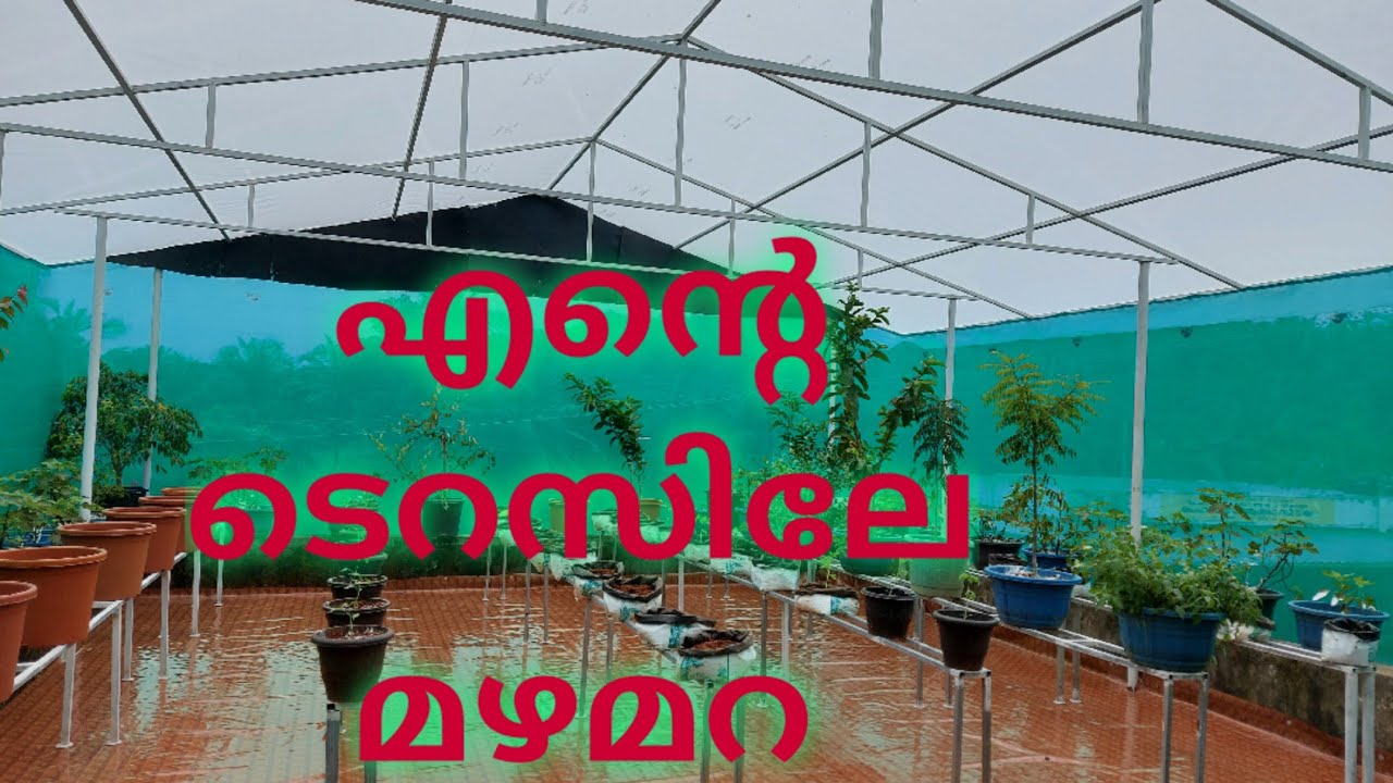 Rain shelter home
വീട്ടിലേ മഴ മറ