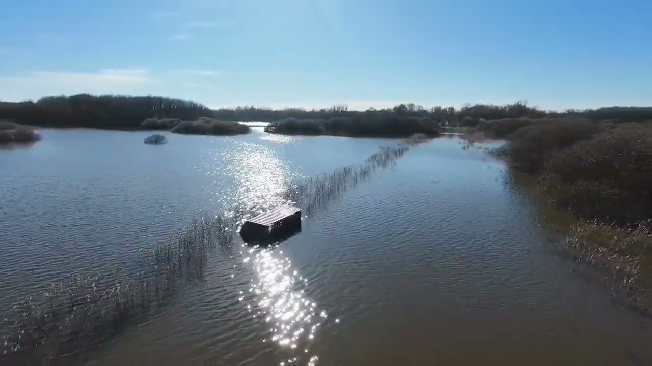 Le lac des cygnes 