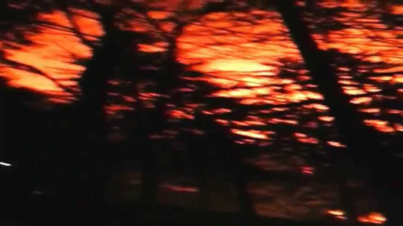 Waldbrand Absam am 20.3.2014