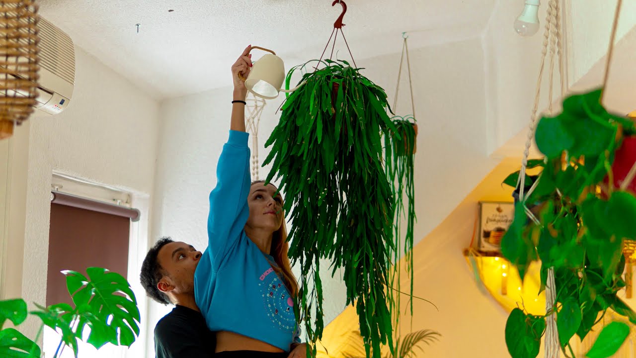 3 Simple Hacks to Water Your Hanging Plants.