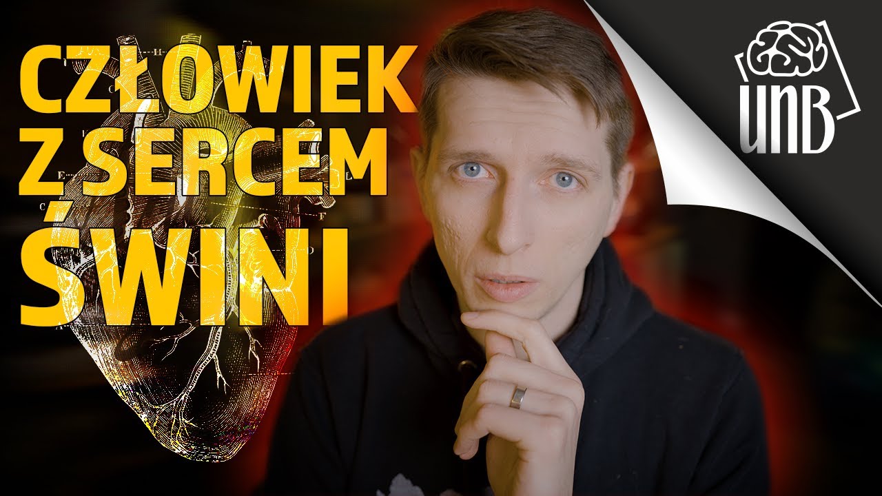 Człowiek z sercem świni!