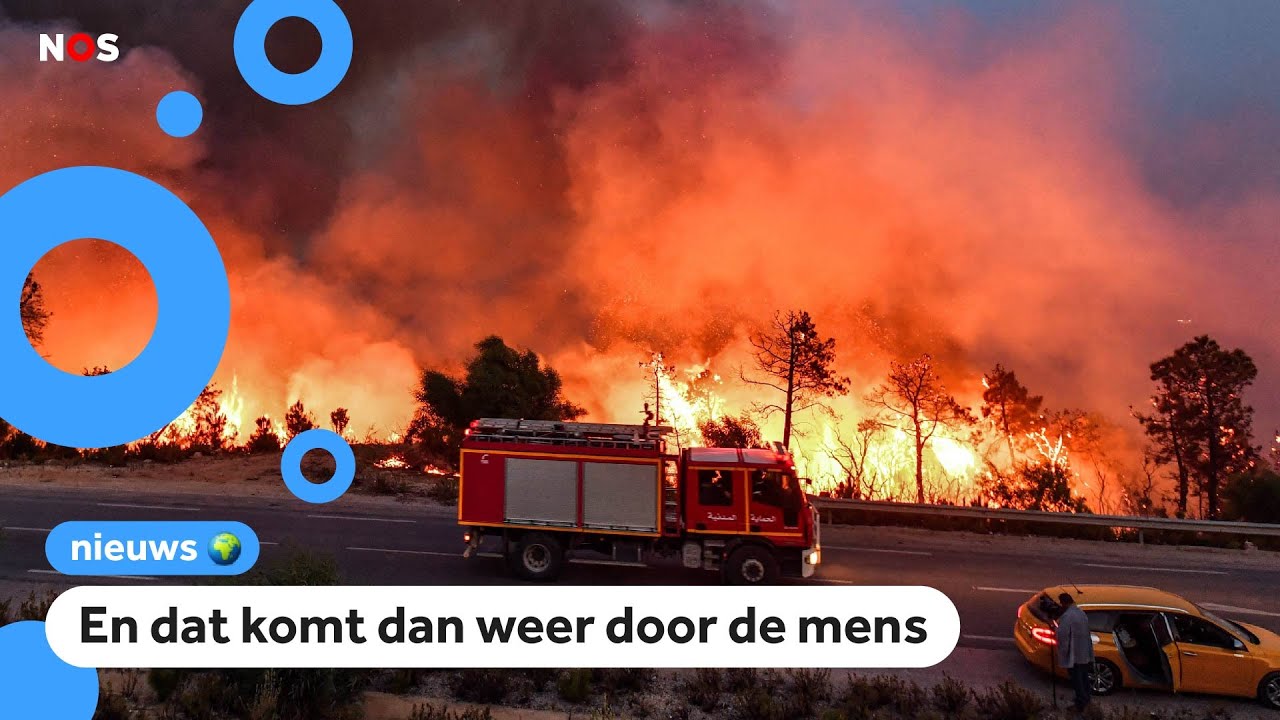 'Hitte en bosbranden komen door klimaatverandering'