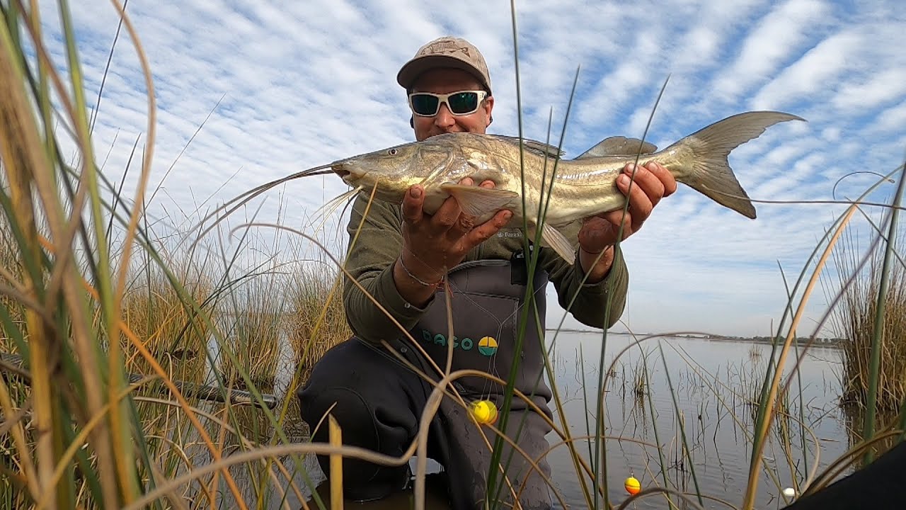Pesca en 