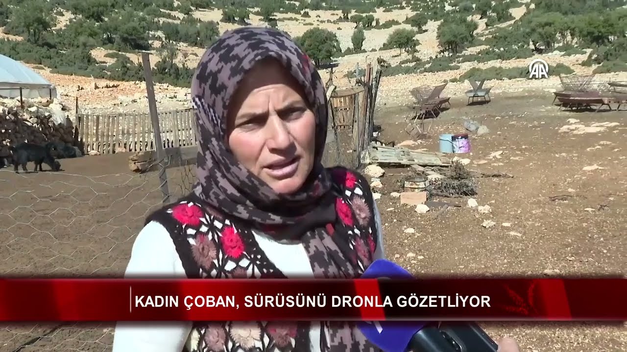 Kadın çoban, sürüsünü dronla gözetliyor