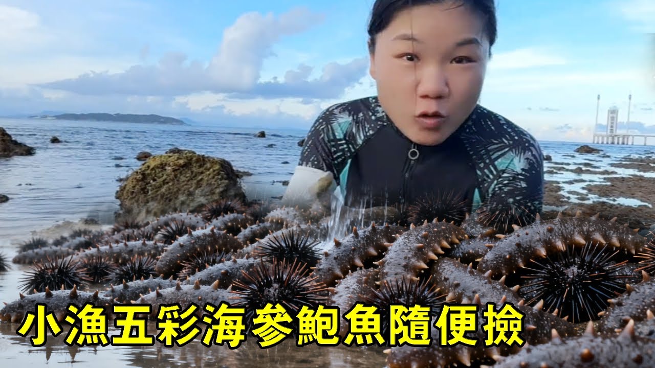 小漁趕海發現寶藏，五彩海參​​鮑魚隨便撿，輕鬆爆桶太刺激【漁小仙】