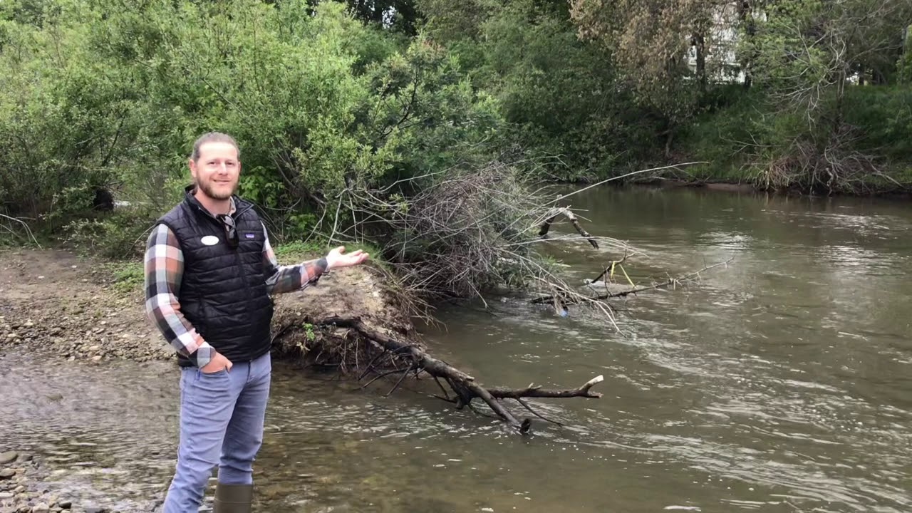 Virtual Tour of Steelhead Trout in San Lorenzo River