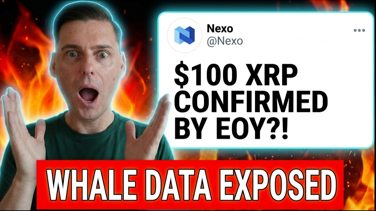 XRP ПО $100 К ДЕКАБРЮ??? (КИТЫ ЗАНЯЛИ ПОЗИЦИИ)
