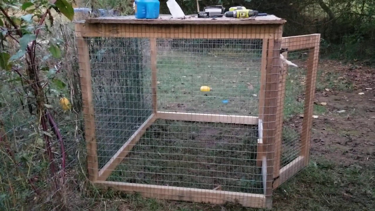 Game fowl pen ideas and upgrades.