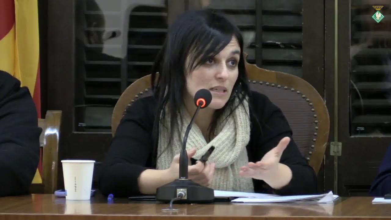 Ple Municipal Ordinari, 27 de gener de 2026.