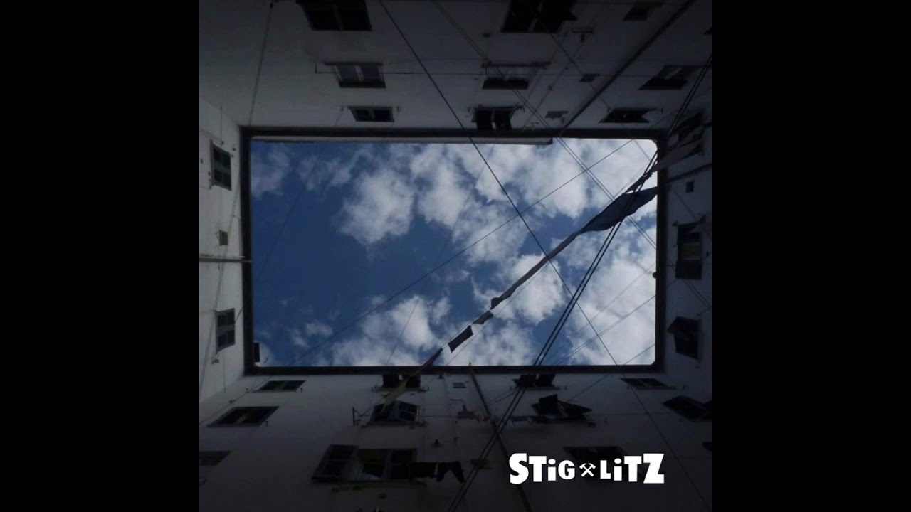 Stiglitz - S/T