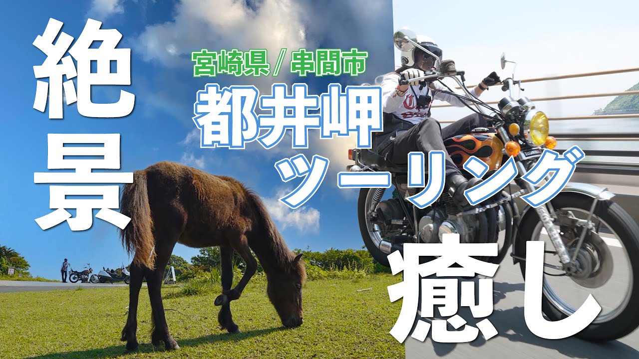 【都井岬ツーリング】南国宮崎の都井岬で、野生馬と絶景に癒されてきた!!【宮崎県/串間市】