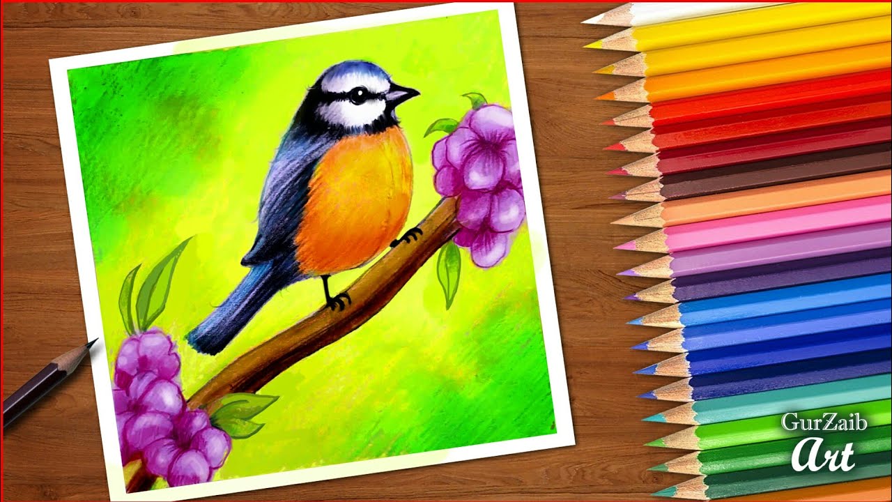 how to draw spring bird || colored pencils tutorial ||  bird sitting on flowers tree branch drawing