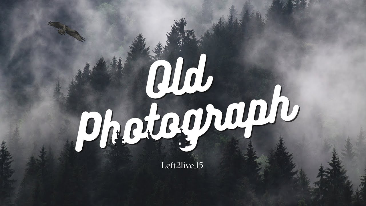 Old Photograph! ~Left2live ( Official Video Lyrics)