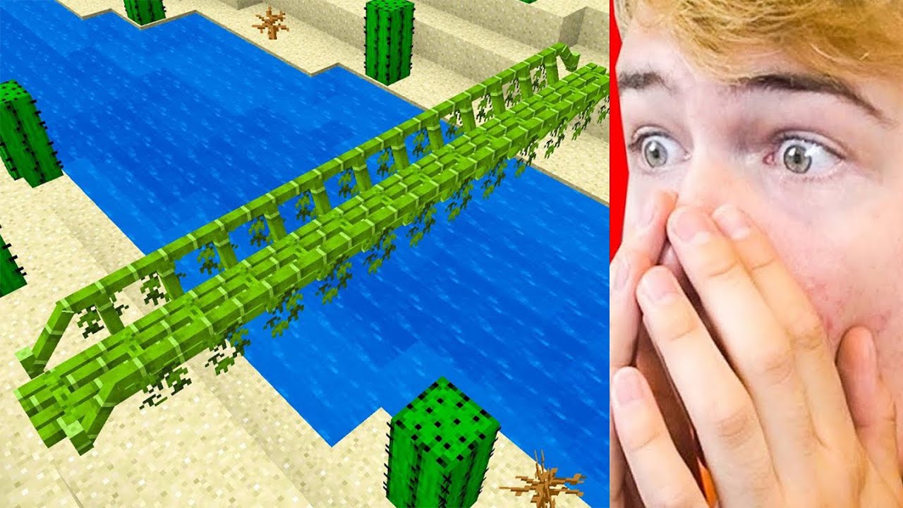 MINECRAFT LIFEHACKS Die ECHT WERKEN! (TIKTOK LIFEHACKS)