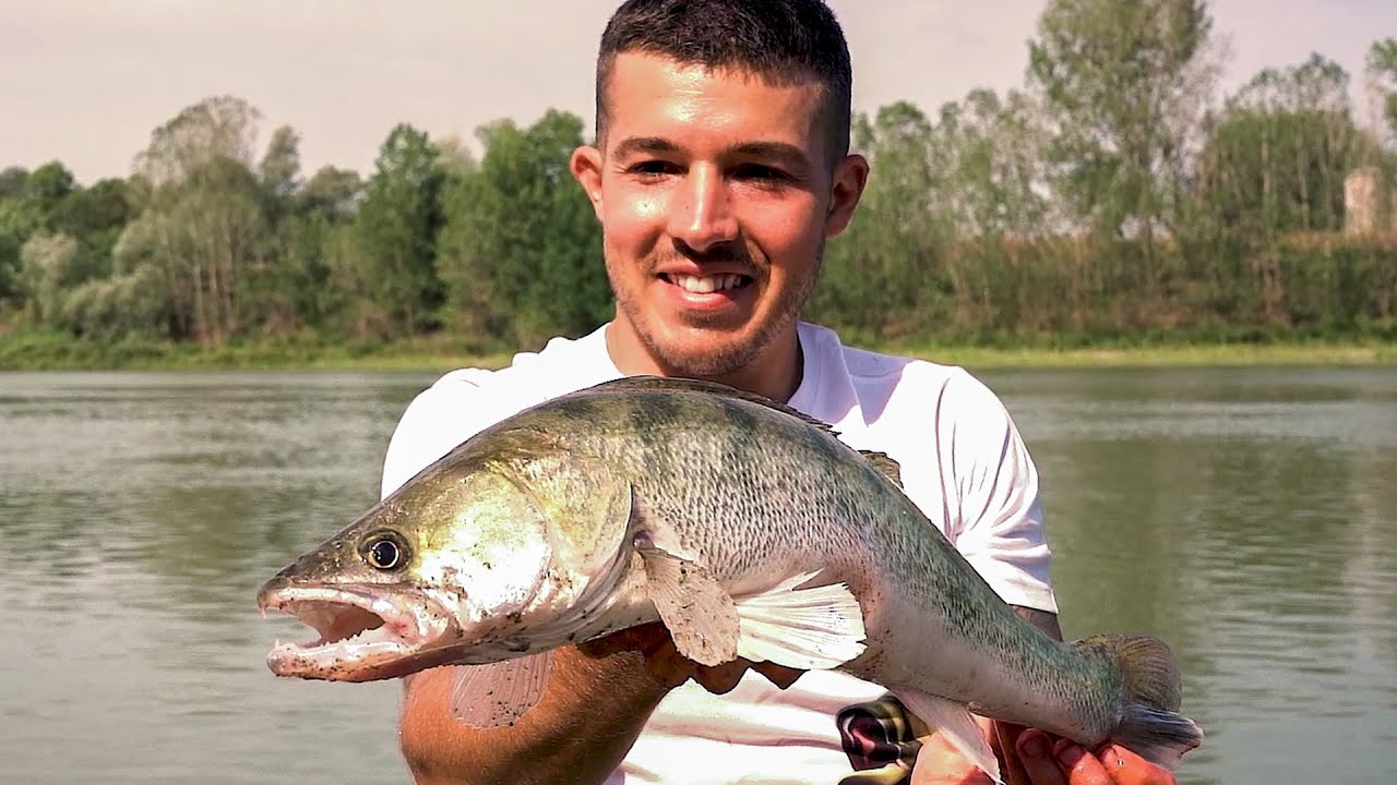 Lineaeffe - Pesca a Feeder e Bolognese sul grande fiume Po