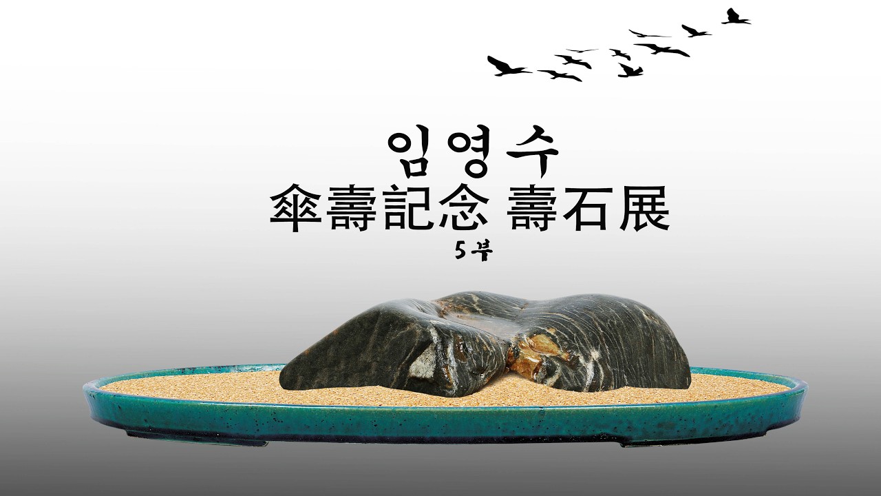 [ 수석의미 ssmtv ] 임영수 산수기념 수석전 5부,전국 수석산지.탐석.전국 수석전시회 소식.수석 (水石. 壽石.奇石.stone).곽창근(010-5446-4832)