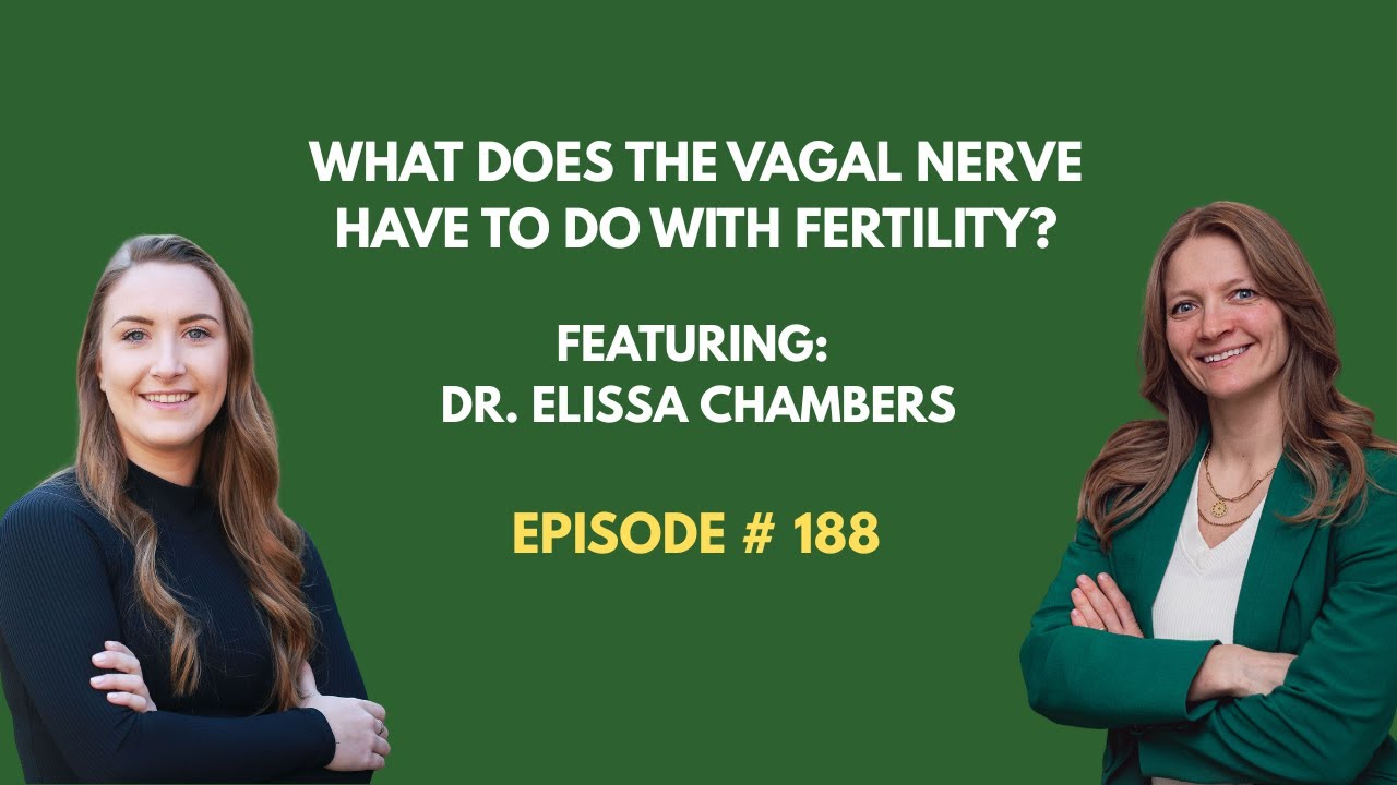 Ep. 188: The Vagus Nerve, Fertility & The Fight-or-Flight Trap: Why Slowing Down Heals
